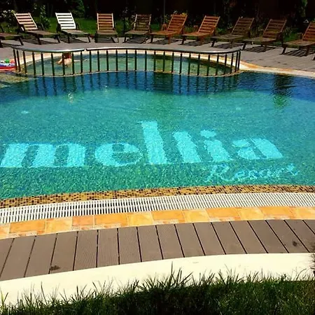 Mellia רבדה